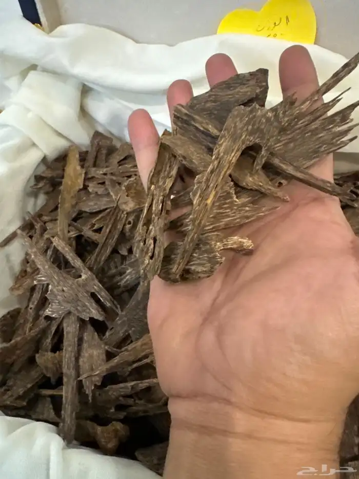 عود كاليمنتان بونتيانك تربل سوبر تخزين قديم طبيعي 100   100 5