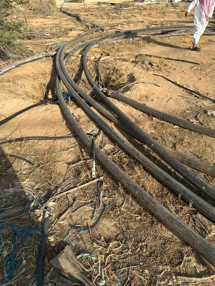 لي بير 3 بوصه 1