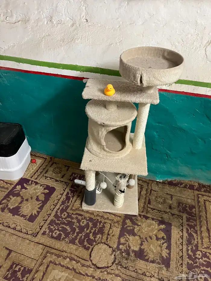 للبيع اغراض قطط 5