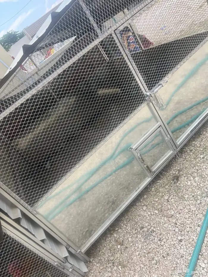 4 شبوك دجاج او ارانب او غنم نظيف استخدام اقل من شهرين 2