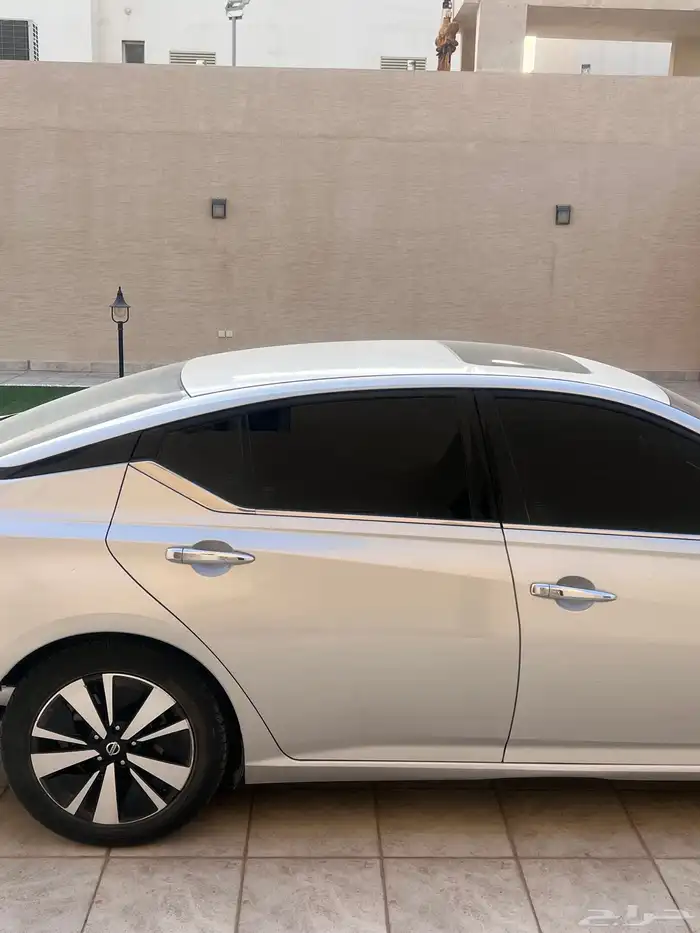 التيما 2019 نص فل 2