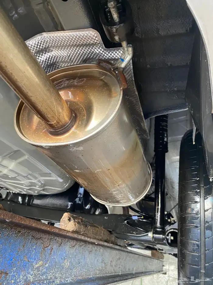 صني 23 فل نظيفة 15