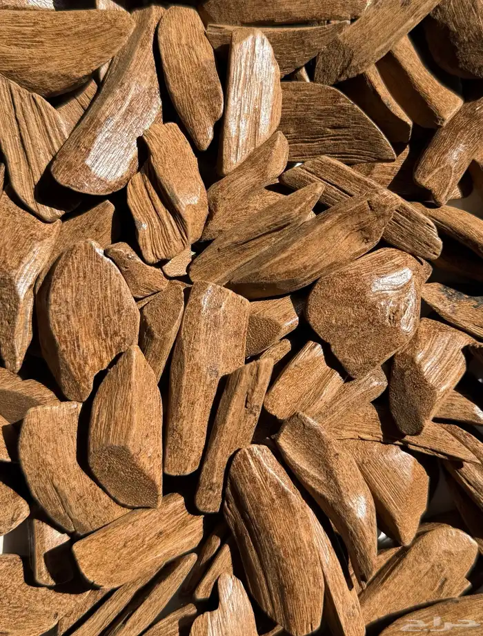 عود مروكي محسن 0