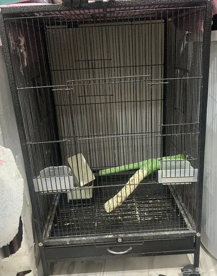 قفص بغبغاء 2