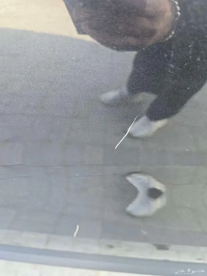 كيا كرنفال 2023 ديزل وارد كوري نظيف شبه وكالة 28