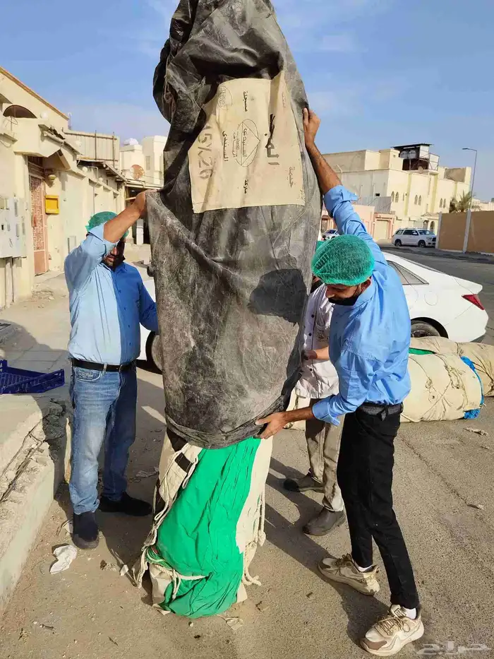 خيام المجد مستعملة مرة واحدة 4