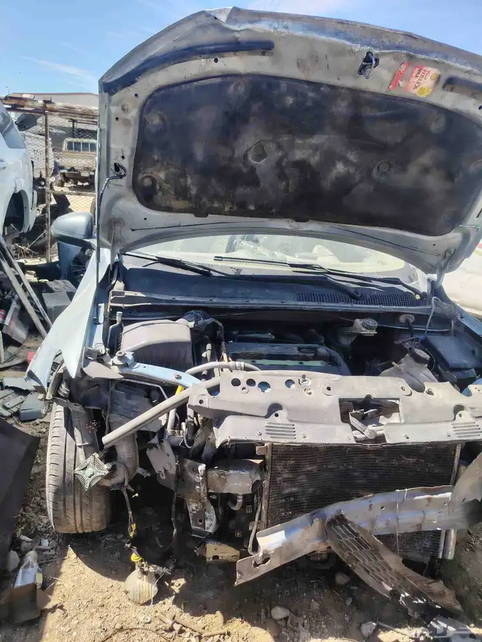 شفر وليه سونك موديل 2012 1