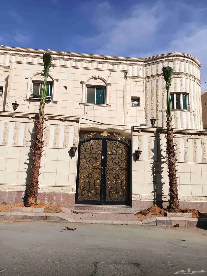 نخل واشنطني اقل سعر 0