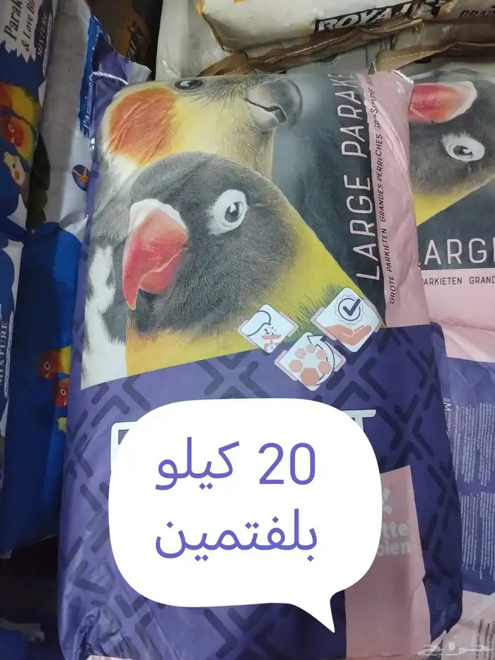 اكل قطط رمل قطط اكسسوارات 5