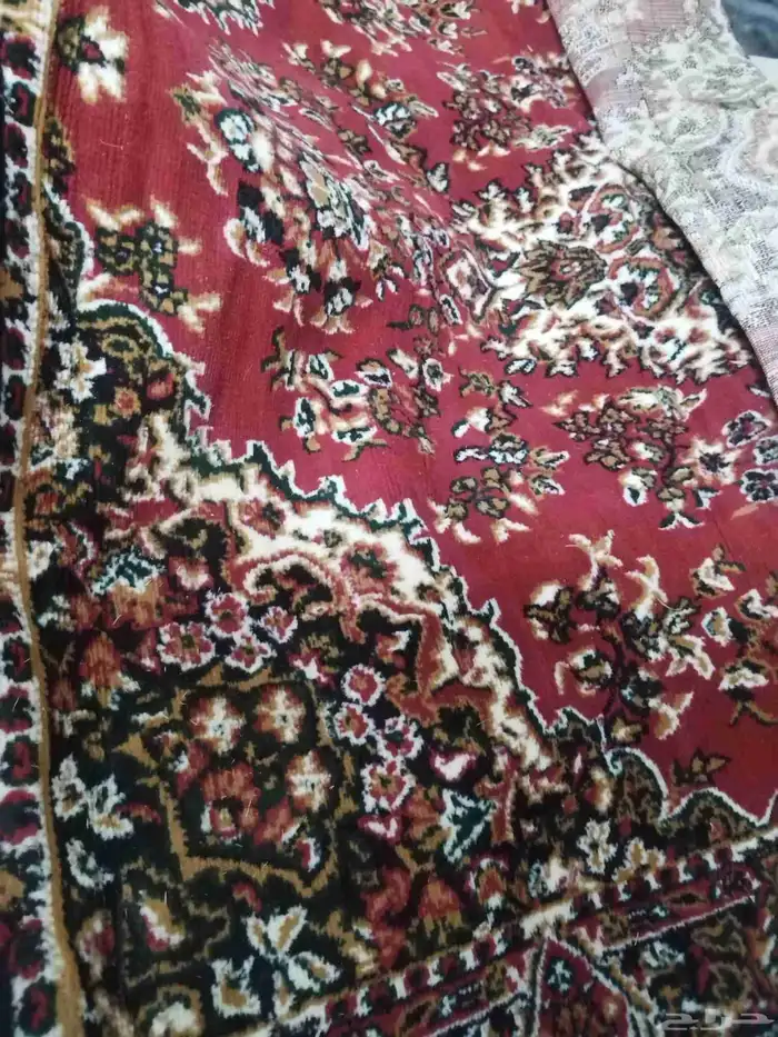 خيام المجد مستعملة مرة واحدة 0