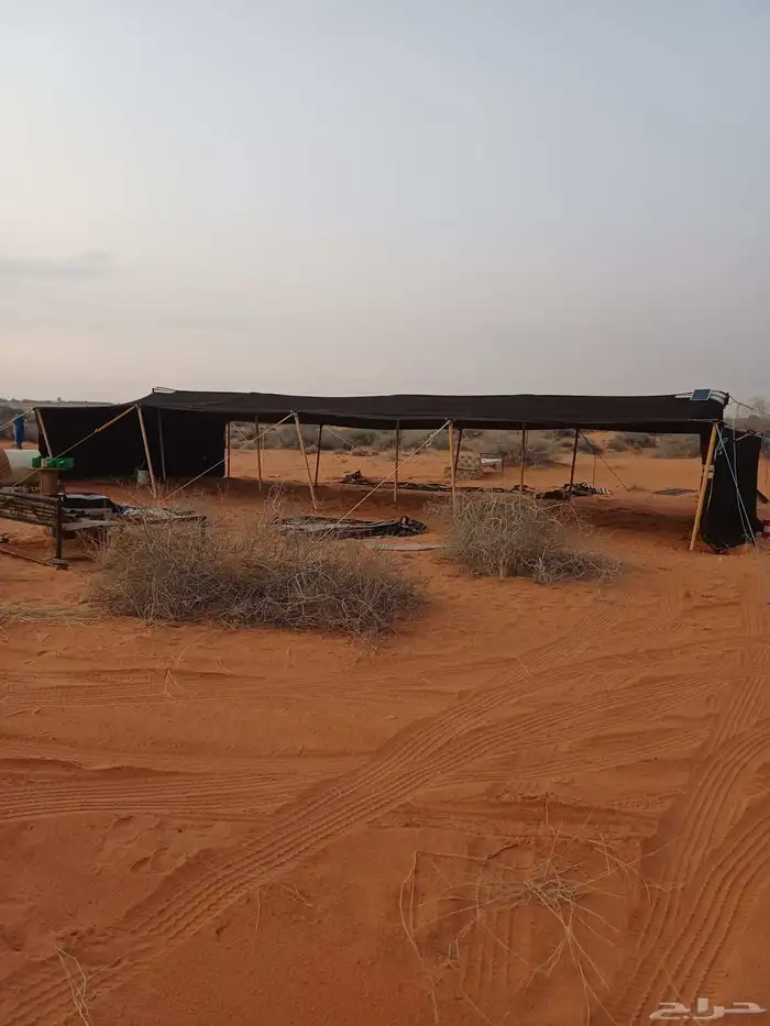 بيت شعر مثولث 1