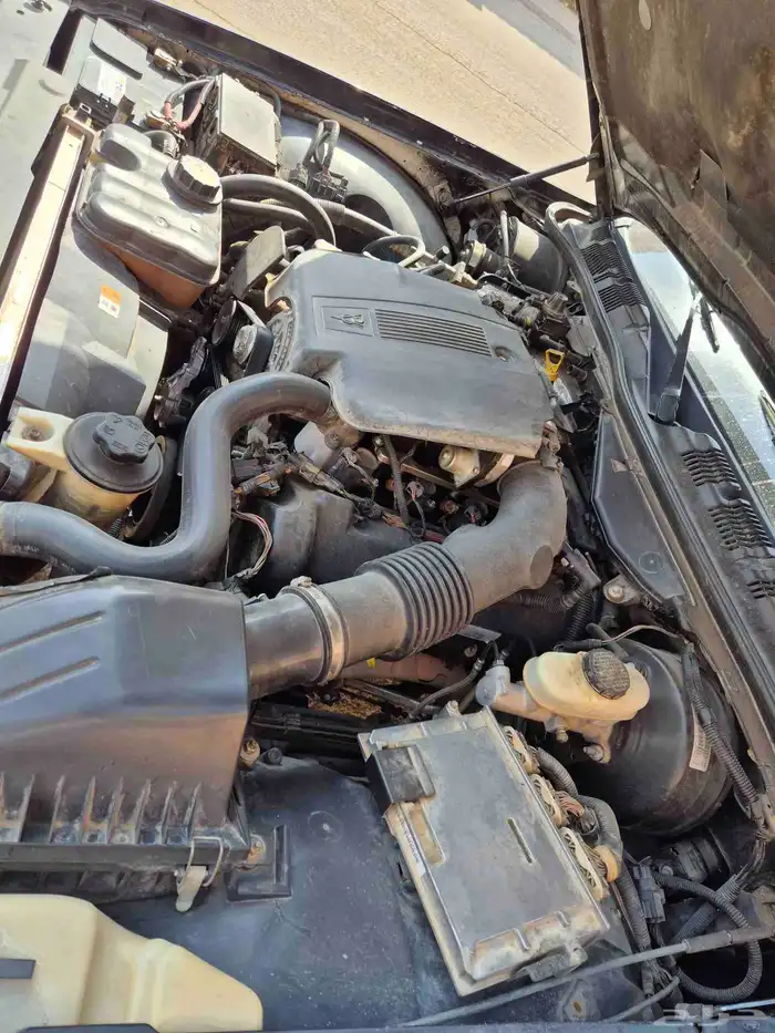 فورد بوليسي 2010 8