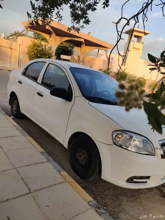 افيو 2010 لبيع تماتيك على السوم 5