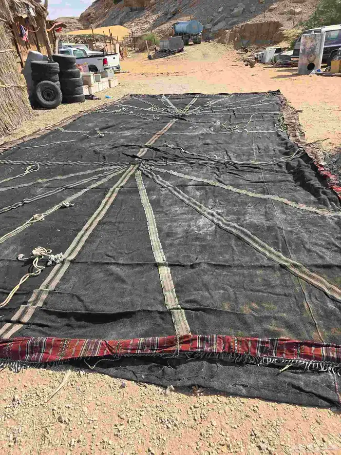 بيت شعر صحن فقط 12  5 0