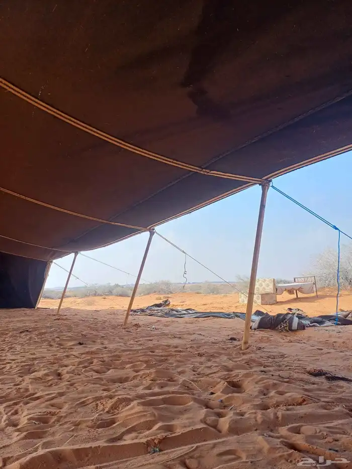 بيت شعر مثولث 8