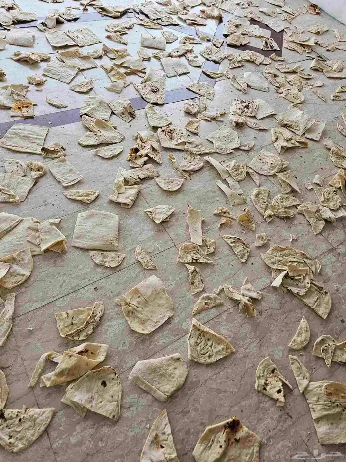 لدينا خبز مجفف للمواشي التواصل وتساب   السعر 13 ريا 1