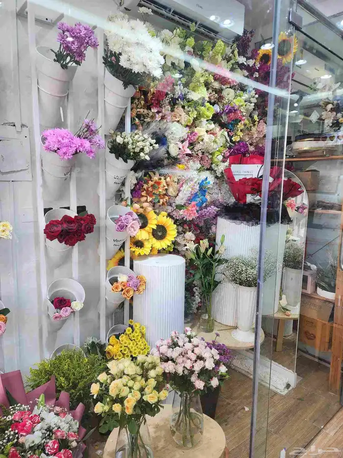 محل ورد التقبيل 3