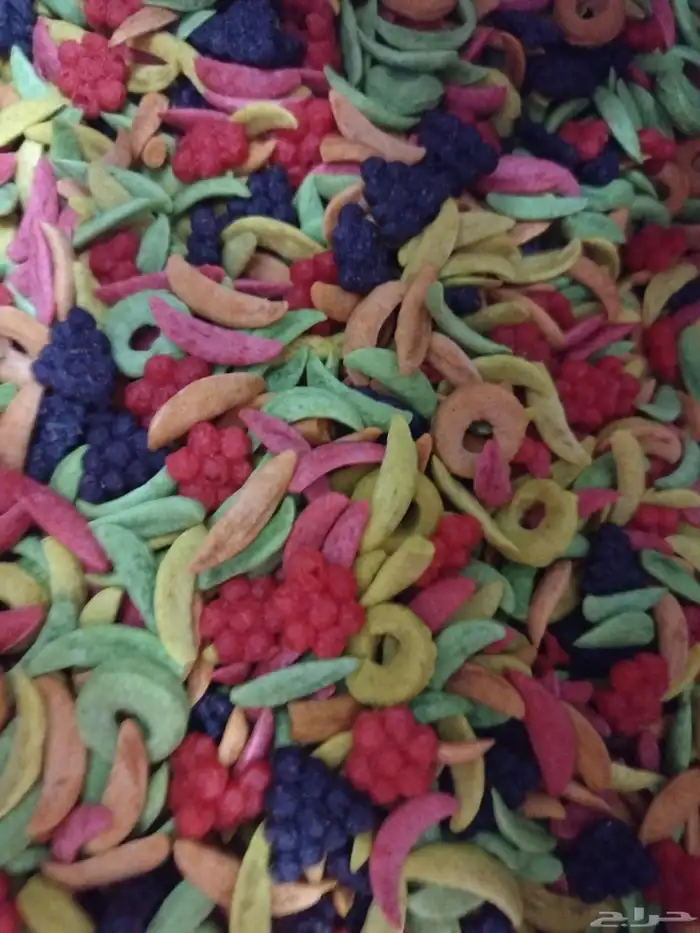 اكل قطط تركي. رمل قطط. اكل. طيور. اكسسوارات حمام. طيور 5