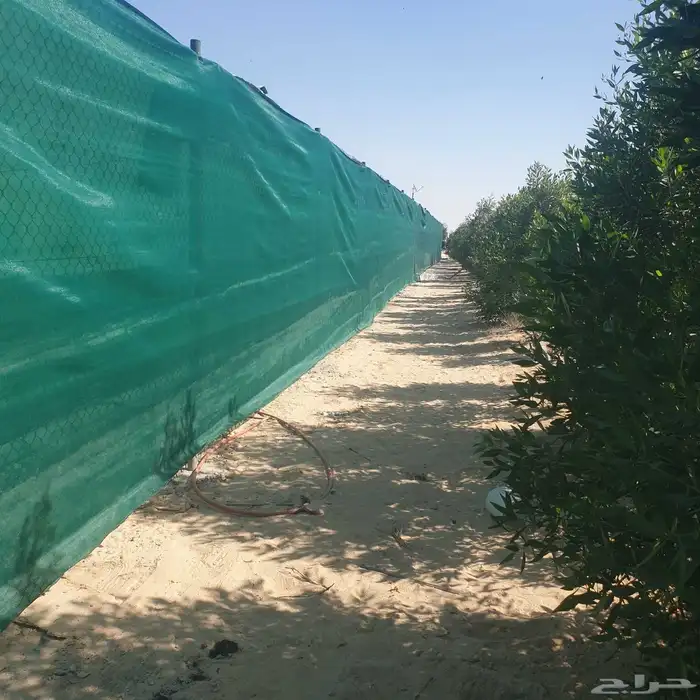 نحن موسسه مقاولات عامه لتوريد وتركيب جميع انواع الشبوك 1