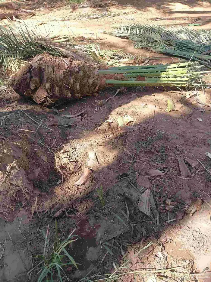 يوجد لدينا نقايل مشكلات 1