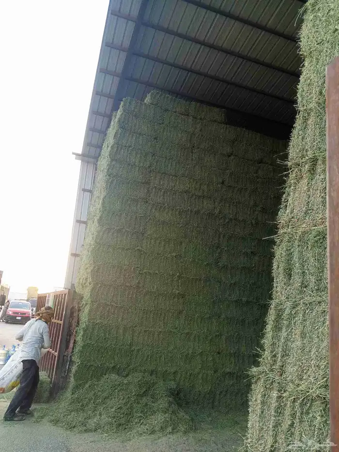 جميع انواع الاعلاف 4