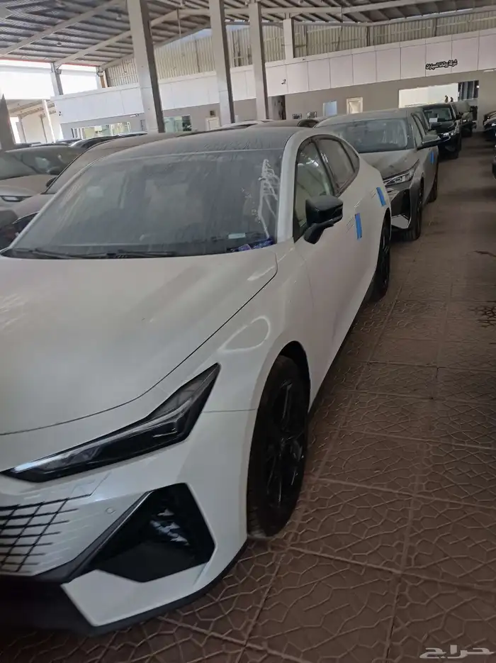 شانجان يوني في اليت 2026 4