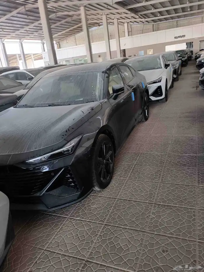 شانجان يوني في اليت 2026 6