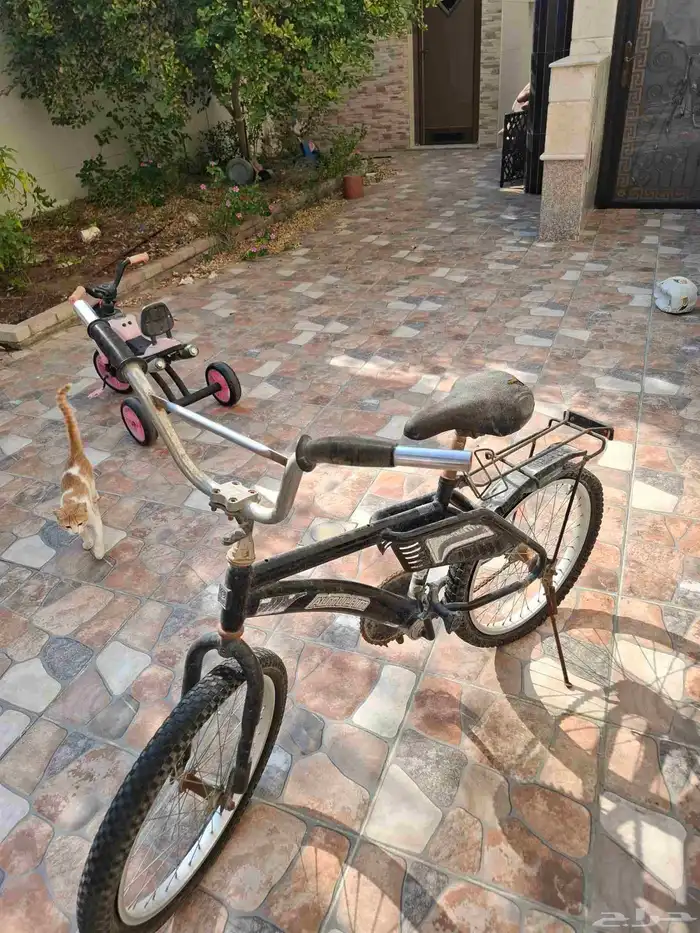 سيكل رامبو مصدي مقاس 20 0