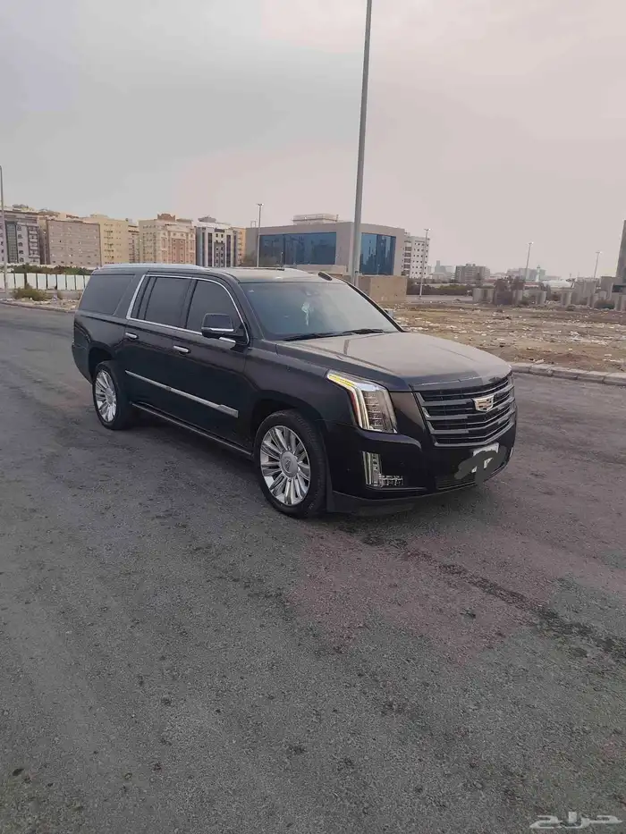 كاديلاك سكليت بلاتينيوم 2019 7