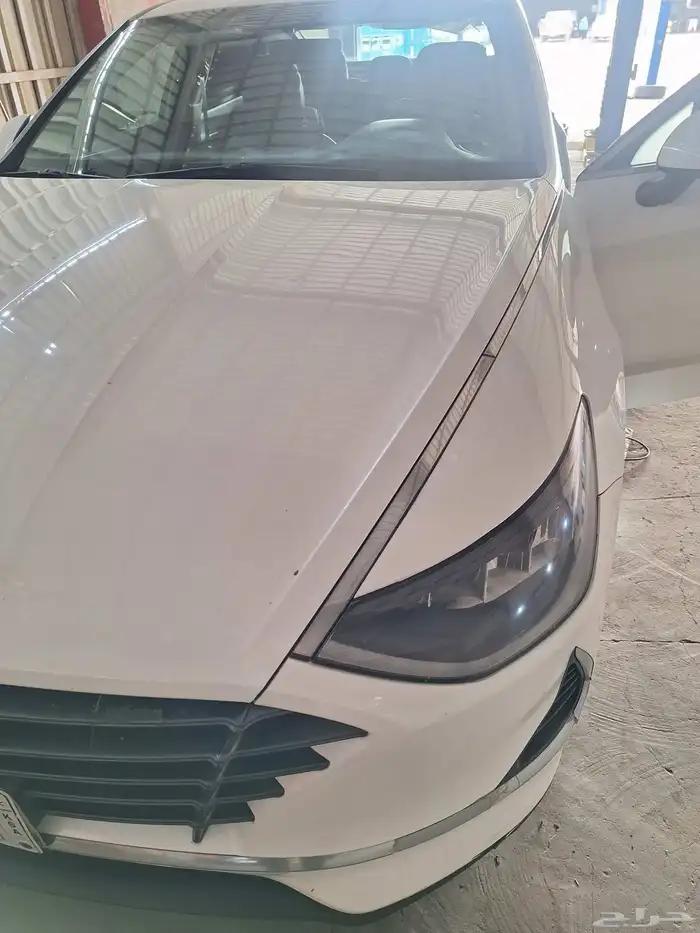 إصلاح دودة الدركسيون 2