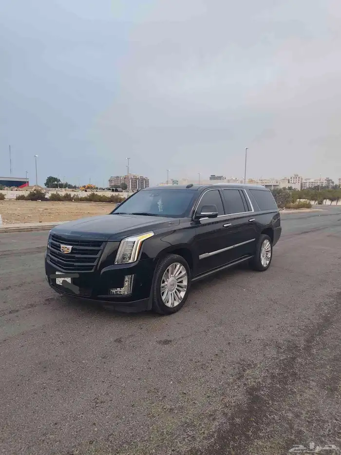 كاديلاك سكليت بلاتينيوم 2019 0