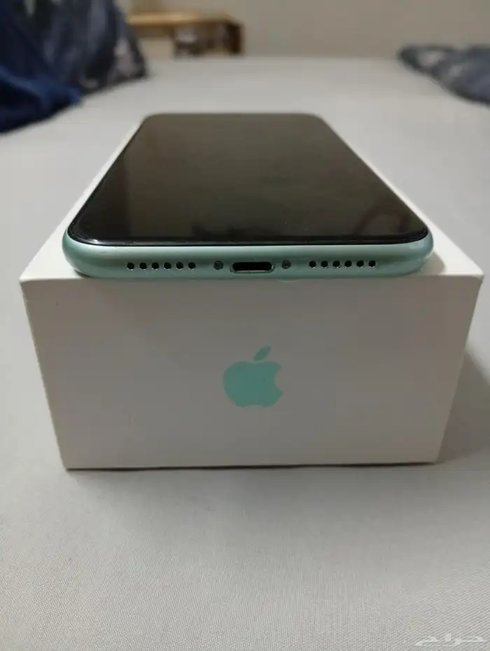 آيفون 11 عادي 2