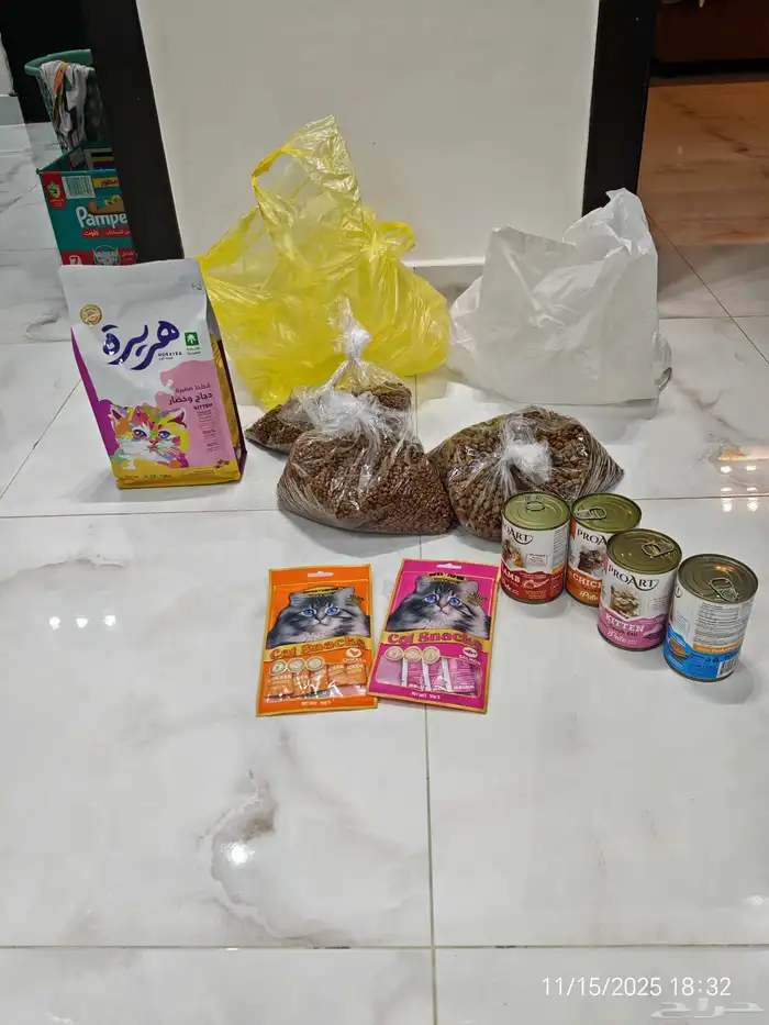 قط سكواتش مطعم مع اكل وسناك ذكر للبيع المستعجل 5