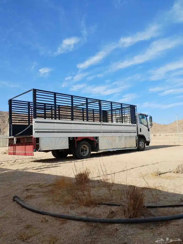 دينا سته متر لنقل العفش 0