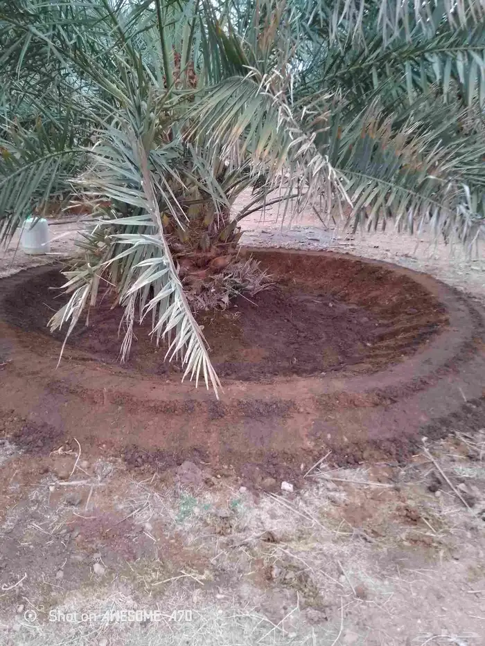 مقاولات عامه 5