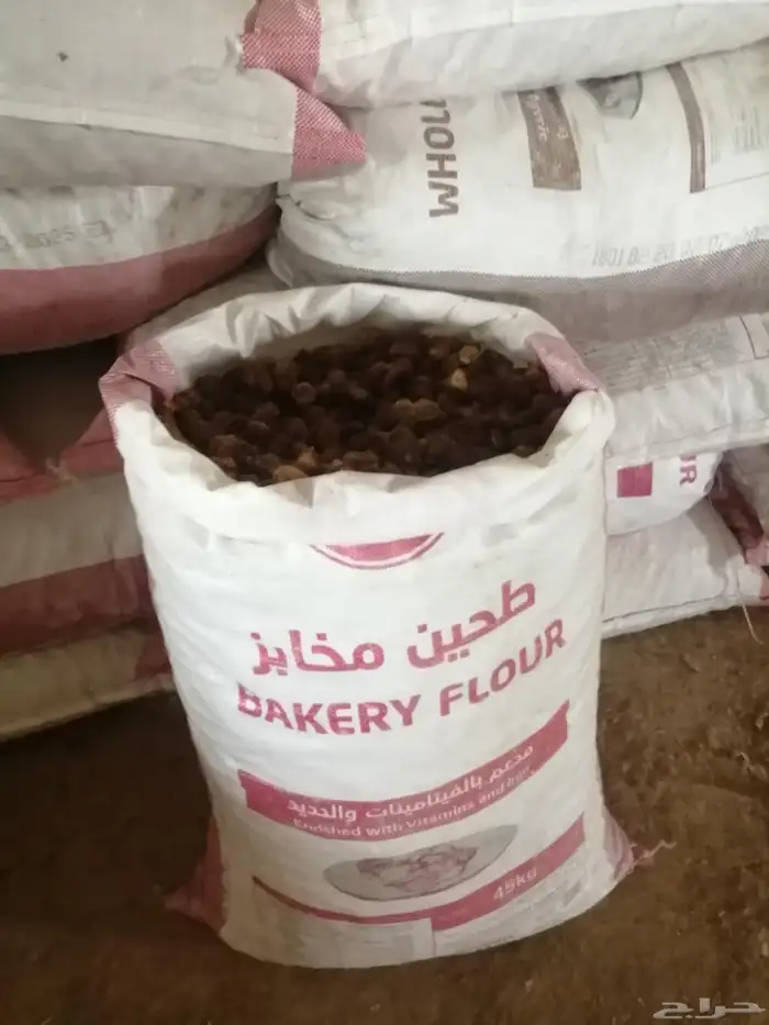 تمر علف للحلال 5