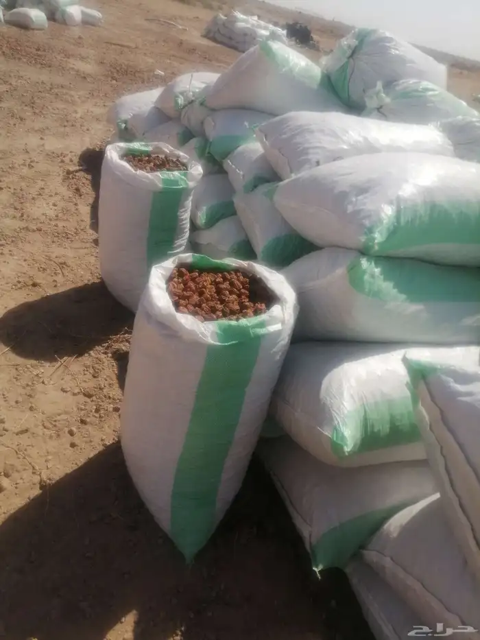 تمر علف للحلال 2