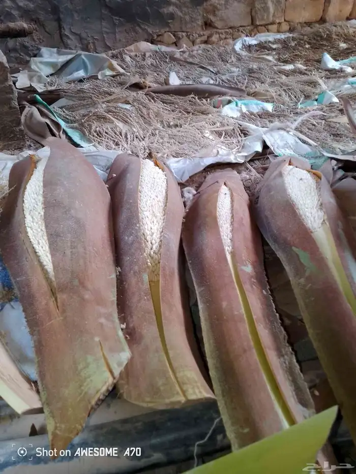 مقاولات عامه 4