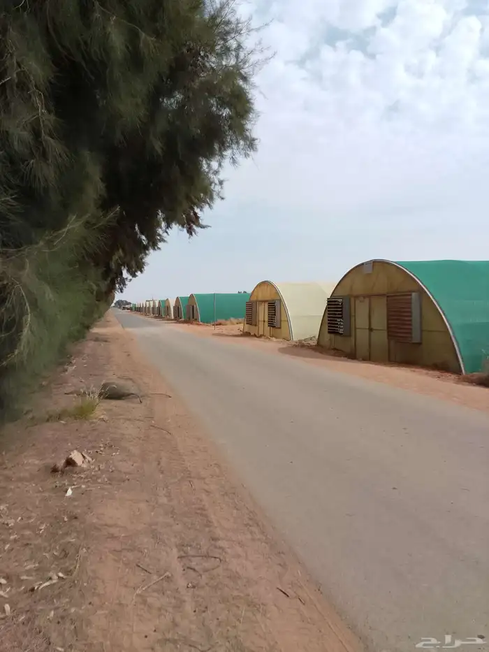 بيوت محميه للبيع 0