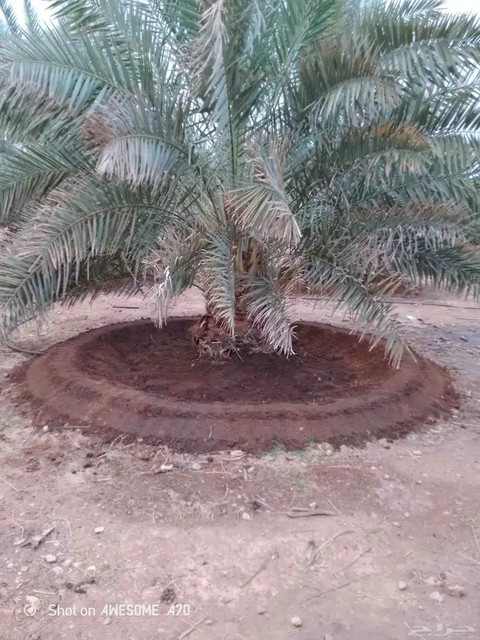 مقاولات عامه 11