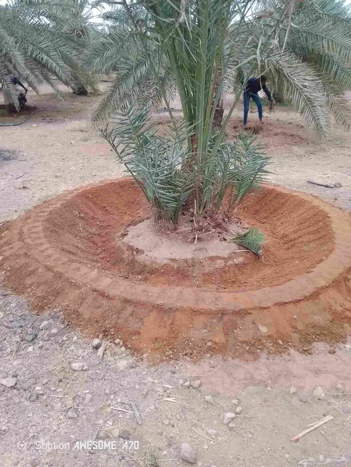 مقاولات عامه 12