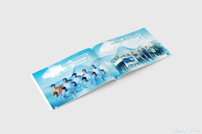 مصمم تقارير سنوية محترف 13