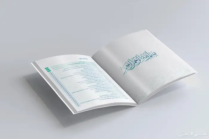 مصمم تقارير سنوية محترف 17