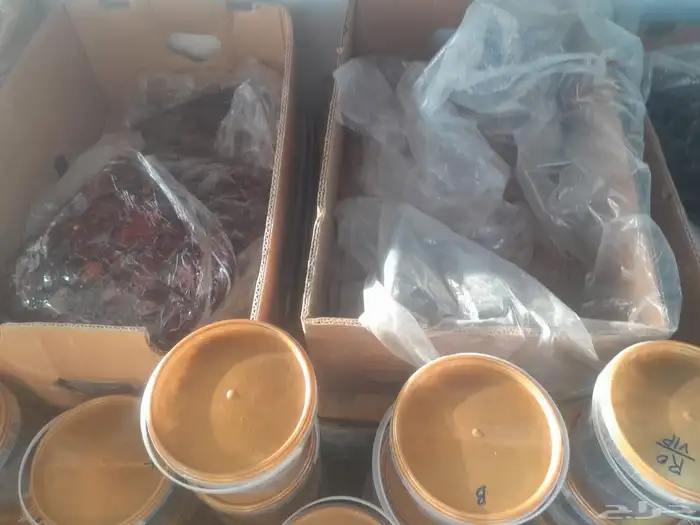 تمور حائل الفاخره 5