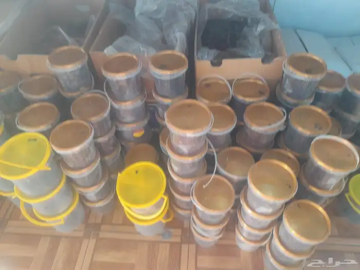 تمور حائل الفاخره 4