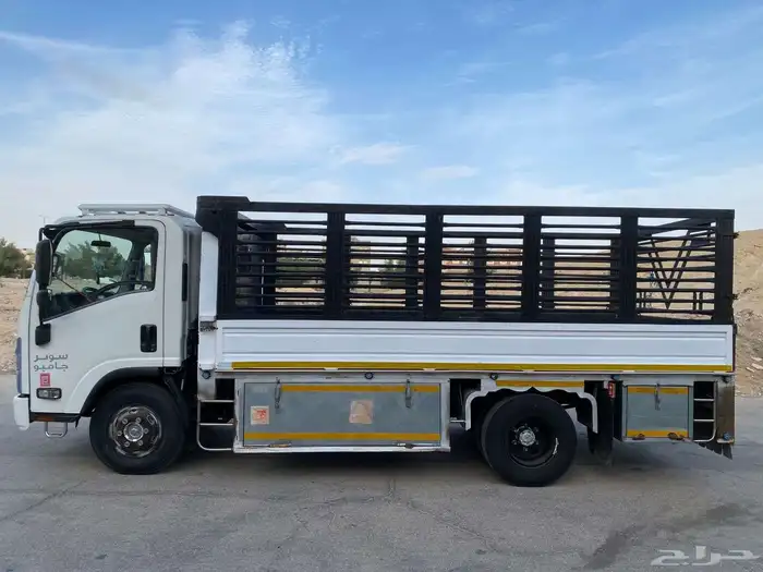 دينه ايسوزو مديل 2013 2