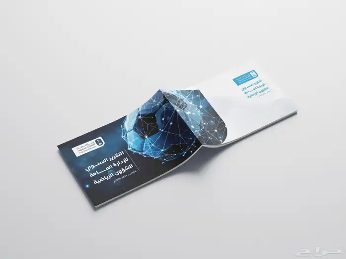 مصمم تقارير سنوية محترف 1