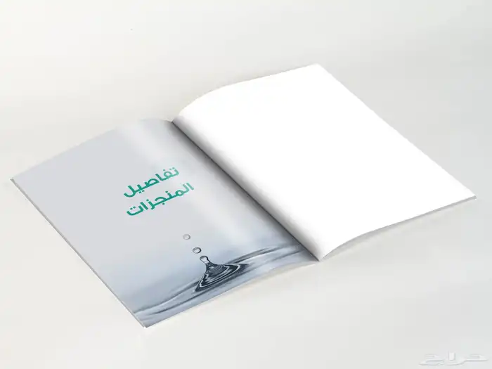 مصمم تقارير سنوية محترف 11