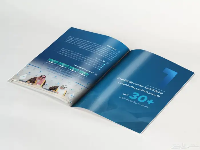 مصمم تقارير سنوية محترف 16