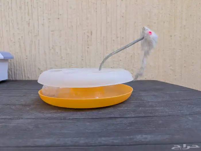 كل المعروضات ب 100 0